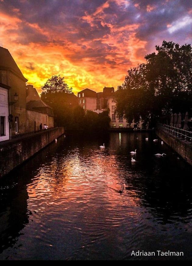 Canal Central Bruges Extérieur photo